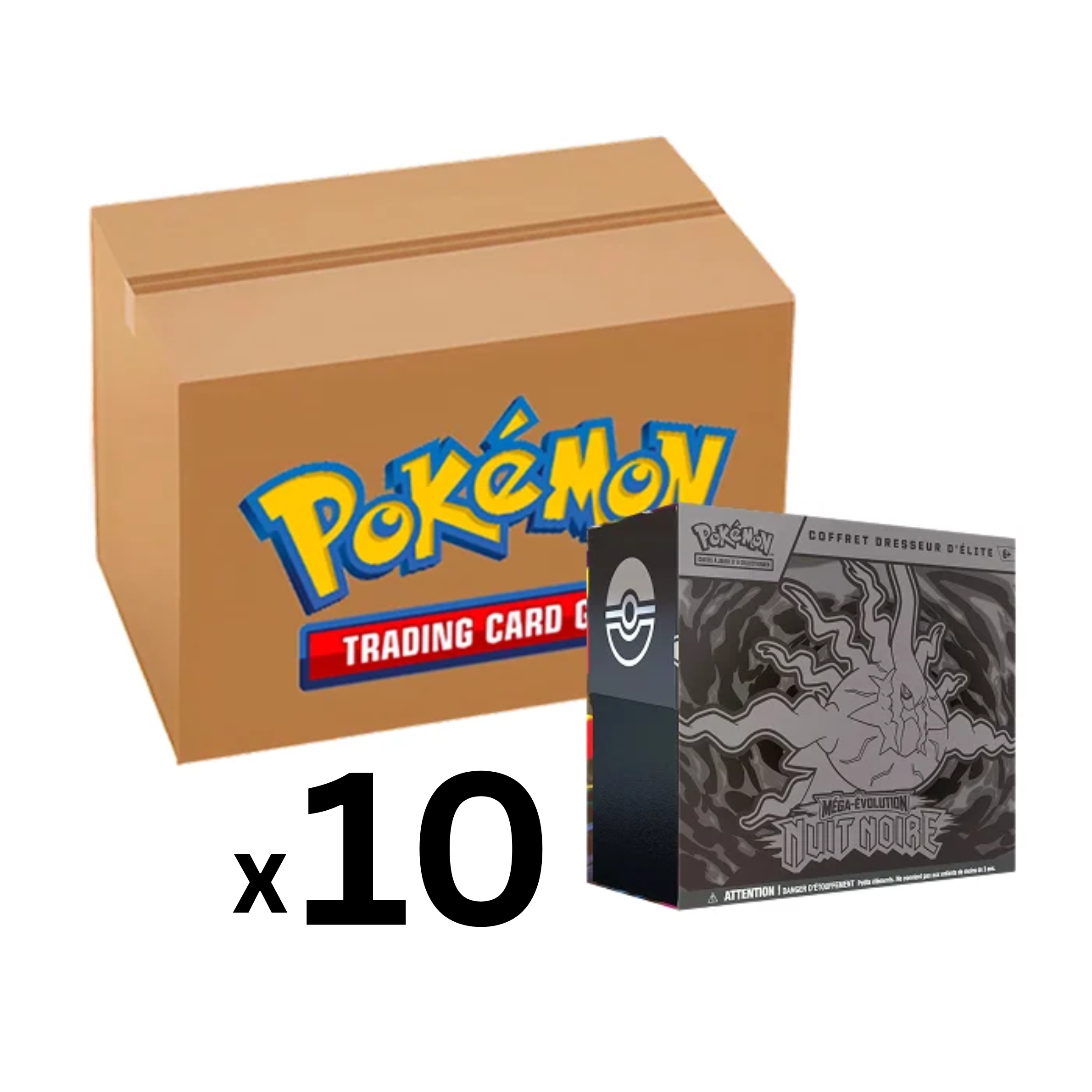Nuit Noire - Carton de 10 ETB (1 offert)